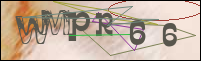 Registration Image