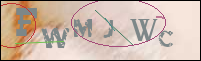 Registration Image