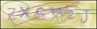 Registration Image