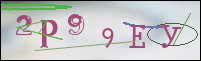Registration Image