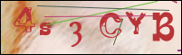 Registration Image