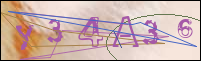 Registration Image
