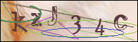 Registration Image