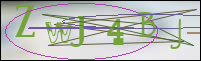 Registration Image