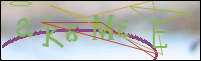Registration Image