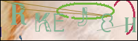 Registration Image