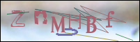 Registration Image