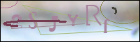 Registration Image