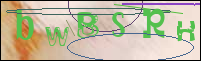 Registration Image