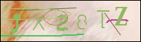 Registration Image