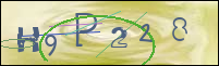 Registration Image