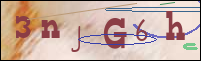 Registration Image