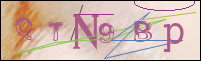 Registration Image