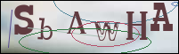 Registration Image