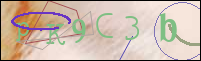 Registration Image