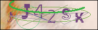 Registration Image