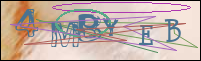 Registration Image