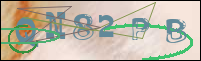 Registration Image