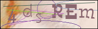 Registration Image