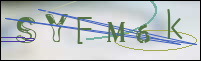 Registration Image