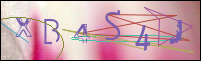 Registration Image