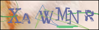 Registration Image