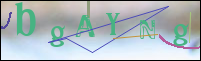 Registration Image