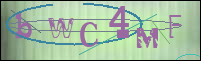 Registration Image