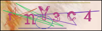 Registration Image