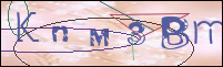 Registration Image