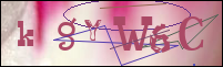 Registration Image