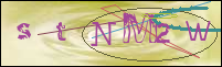 Registration Image