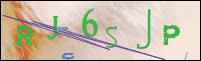 Registration Image