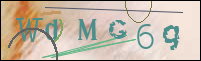 Registration Image