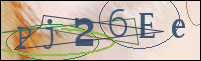 Registration Image