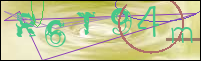 Registration Image