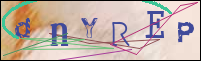 Registration Image