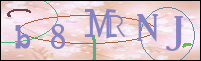 Registration Image