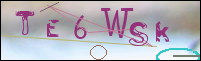 Registration Image