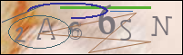 Registration Image