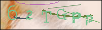 Registration Image