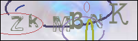 Registration Image