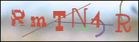 Registration Image