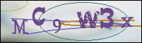 Registration Image