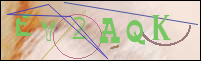 Registration Image