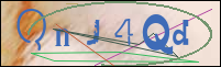 Registration Image