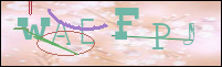 Registration Image