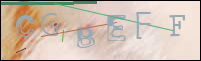 Registration Image