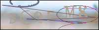 Registration Image