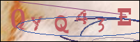 Registration Image